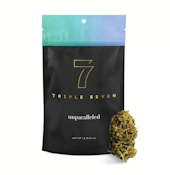 Triple Seven - Horace - 7g