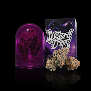 WIZARD TREES - Wizard Trees 3.5G Wizard OG Premium Indoor Flower