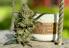 Product Preview Image 1