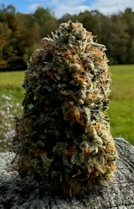 Pudding Hill Farm - Panama Haze - 3.5g - Pudding Hill Farm