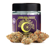 Moon Valley | G NUT #11 | Indoor Living Soil Flower | 1/8oz