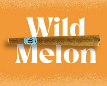 DOINKS - Doinks | Wild Melon Flavor-infused Blunt | 1g