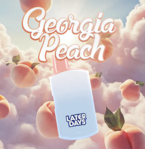 LATER DAYS - Later Days | Georgia Peach Disposable Vape | 1g