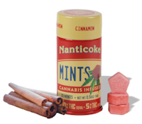 Nanticoke | Mints | Cinnamon | 20-pack | 5mg