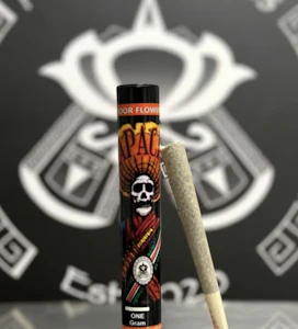 ZAPACKA - Red Runtz | 1g Preroll | TAXES INCLUDED
