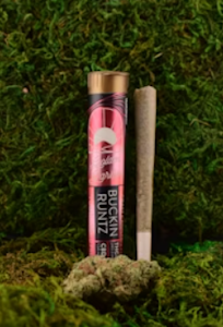 Golden Garden - Golden Garden | Preroll | Buckin Runtz | 1g