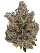 Fig Farms | Dark Karma premium indoor flower 3.5g | 27.21% THC