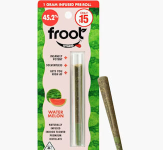 FROOT - Froot 1G Watermelon Infused Preroll