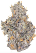 Fig Farms | International Orange premium indoor flower 3.5g | 22% THC