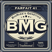 BMG: Parfait 41 Feminized Seeds (21)