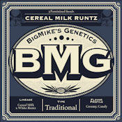 BMG: Cereal Milk Runtz Feminized Seeds (5)