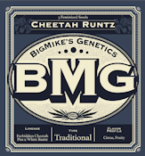 BMG: Cheetah Runtz Feminized Seeds (3)