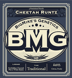 Weed Growers From Seed To Stone DBA Matawana - BMG: Cheetah Runtz Feminized Seeds (3)
