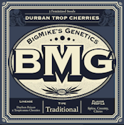 BMG: Durban Trop Cherries Feminized Seeds (3)