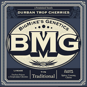 Weed Growers From Seed To Stone DBA Matawana - BMG: Durban Trop Cherries Feminized Seeds (3)