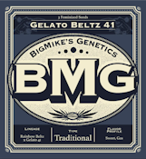 BMG: GELATO BELTZ 41 Feminized Seeds (10)