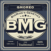 BMG: GMOREO Feminized seeds (3)