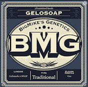 BMG: Gelosoap Feminized Seeds (13)