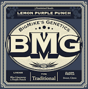 BMG: Lemon Purple Punch Feminized Seeds (16)