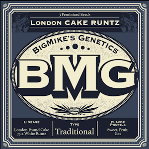 Weed Growers From Seed To Stone DBA Matawana - BMG: London Cake Runtz feminized seeds (17)