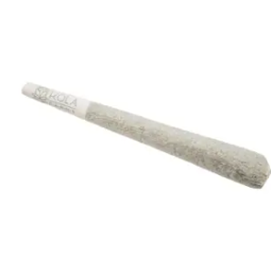 KOLA FARMS - Animal Kookies - 1g Preroll by Kola Farms