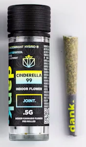 DANK - Dank | Preroll | Cinderella 99 | 0.5g