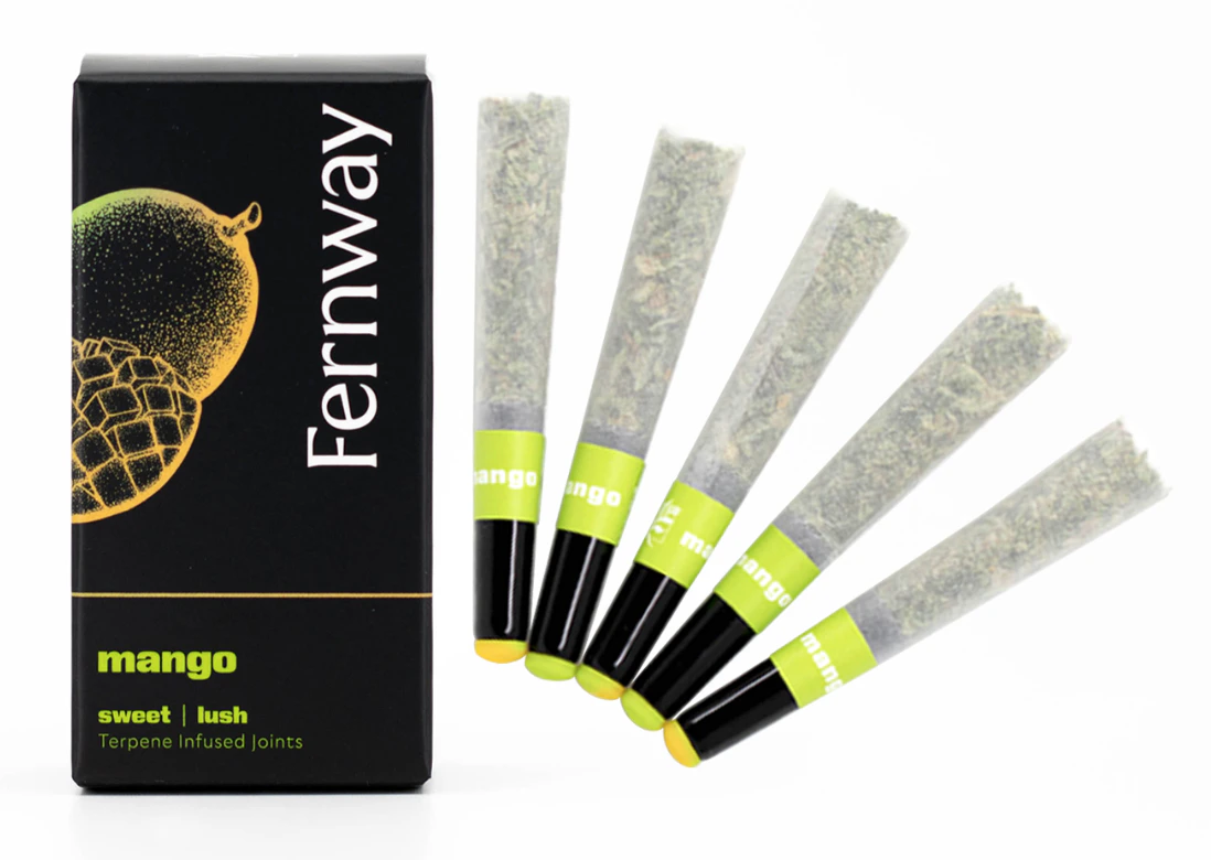 Fernway - Mango - 2.5g, 5pk. - Fernway Main Image