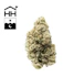 Product Preview Image 1