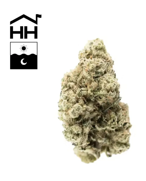 Harbor House - TKO - 3.5g - Harbor House Main Image
