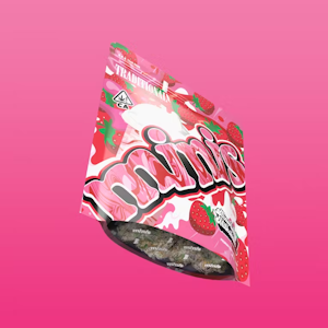 TRADITIONAL - Traditional - Minis - Strawberry Milkshake - Flower - 5.0g