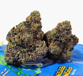 TEDS BUDZ - TEDS BUDS 3.5G Poison Boysen Indoor Flower