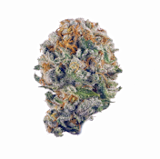 Nightmare Cookies 1Oz