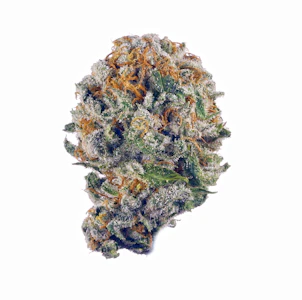 77 North - Nightmare Cookies 3.5g