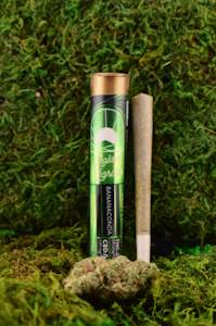 GOLDEN GARDEN - BANANACONDA PREROLL - GOLDEN GARDEN - 1g