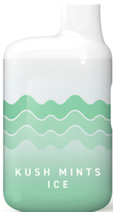 TEMPO - [Tempo] All-In-One - 1g - Kush Mints Ice (H)