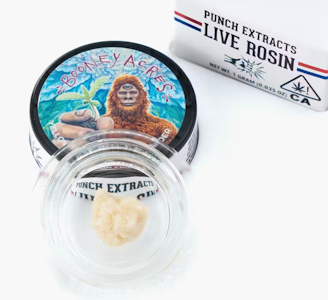 PUNCH EDIBLES & EXTRACTS - PUNCH 1G Yellow Passion Fruit TIER 1 Cold Cure Rosin Badder