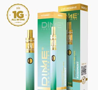 DIME INDUSTRIES - DIME INDUSTRIES - AIO - Kush Mints - Live Reserve - 1G