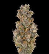 Fig Farms - Krypto Nectarines - 3.5g Flower