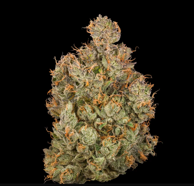 Fig Farms - Fig Farms - Chems & Cherry - 3.5g Flower Main Image