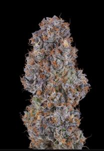 FIG FARMS - Fig Farms - Blue Face Rainbow Belts - 3.5g Flower