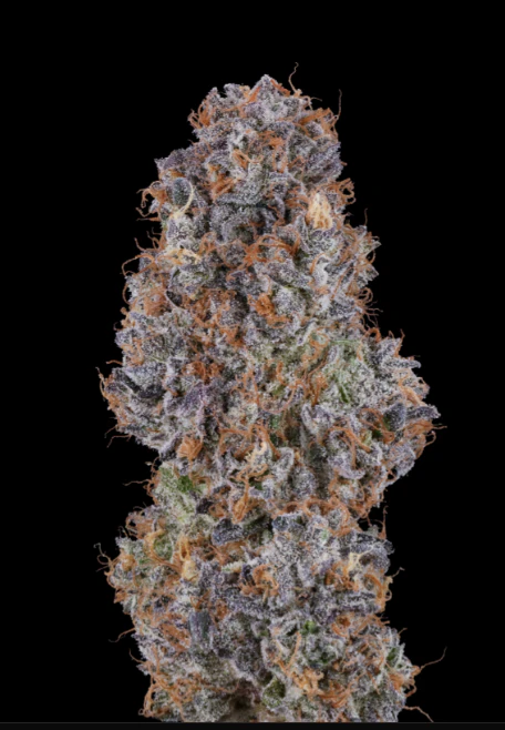Fig Farms - Fig Farms - Blue Face Rainbow Belts - 3.5g Flower Main Image