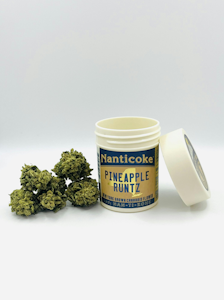 NANTICOKE - Nanticoke | Flower - Pineapple Runtz | 3.5g