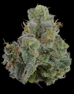 U4EA FARMS - Space Runtz | Craft Flower 3.5g | TAXES INCLUDED