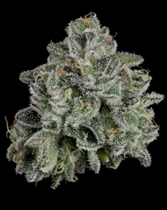 U4EA FARMS - Whoopie Pie | A Buds 3.5g | TAX INCLD