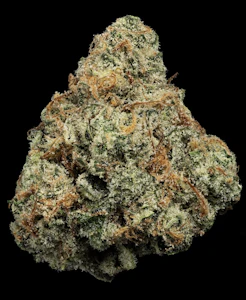 U4EA FARMS - Where's My Bike? | Craft A Buds 3.5g | TAX INCLD