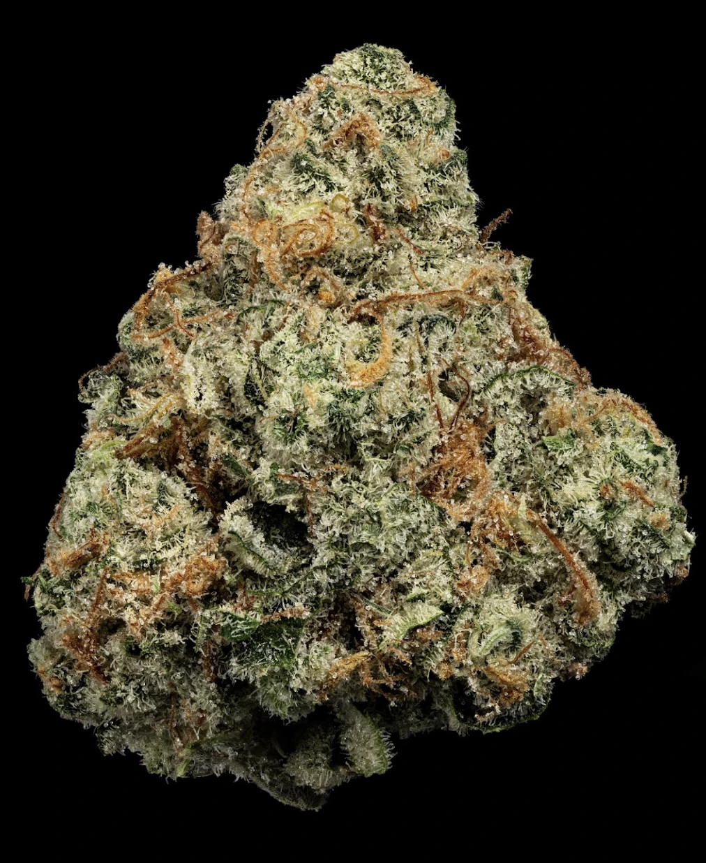 U4EA Farms - Where's My Bike? | Craft A Buds 3.5g | TAX INCLD Main Image