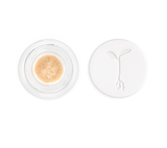 RAW GARDEN - Mile High Freeze - Live Rosin (Solventless) - 1g (H) - Raw Garden