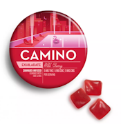 Kiva Camino Gummies Wild Cherry 1:1:1