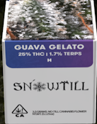 SnowTill | Guava Gelato premium indoor flower 3.5g | 23.20% THC