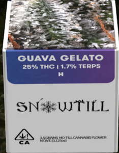 Snowtill - SnowTill | Slushee premium indoor flower 3.5g | 17% THC